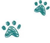 paws